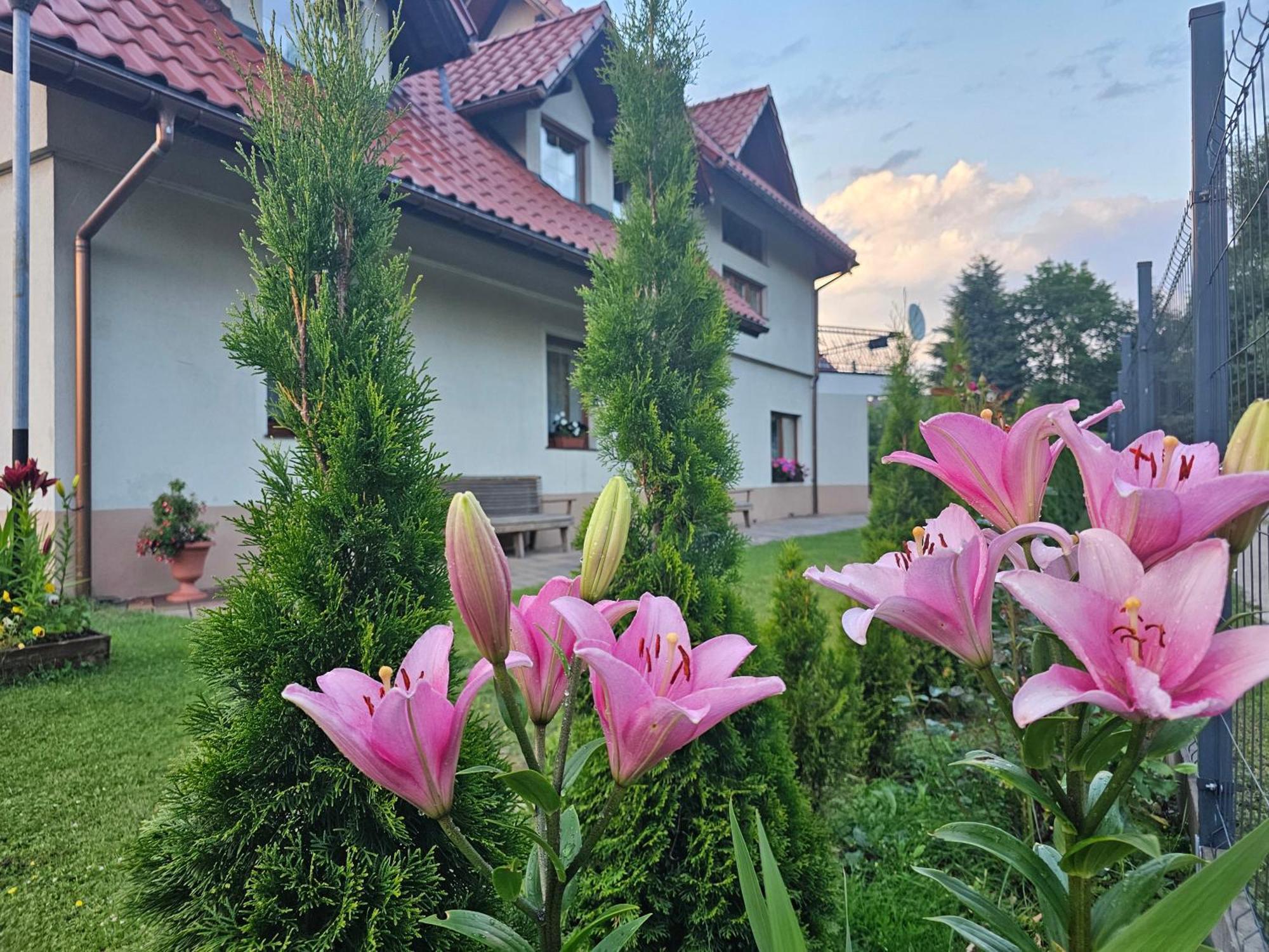 Dom Wypoczynkowy Beskidy Wegierska Gorka Exterior foto