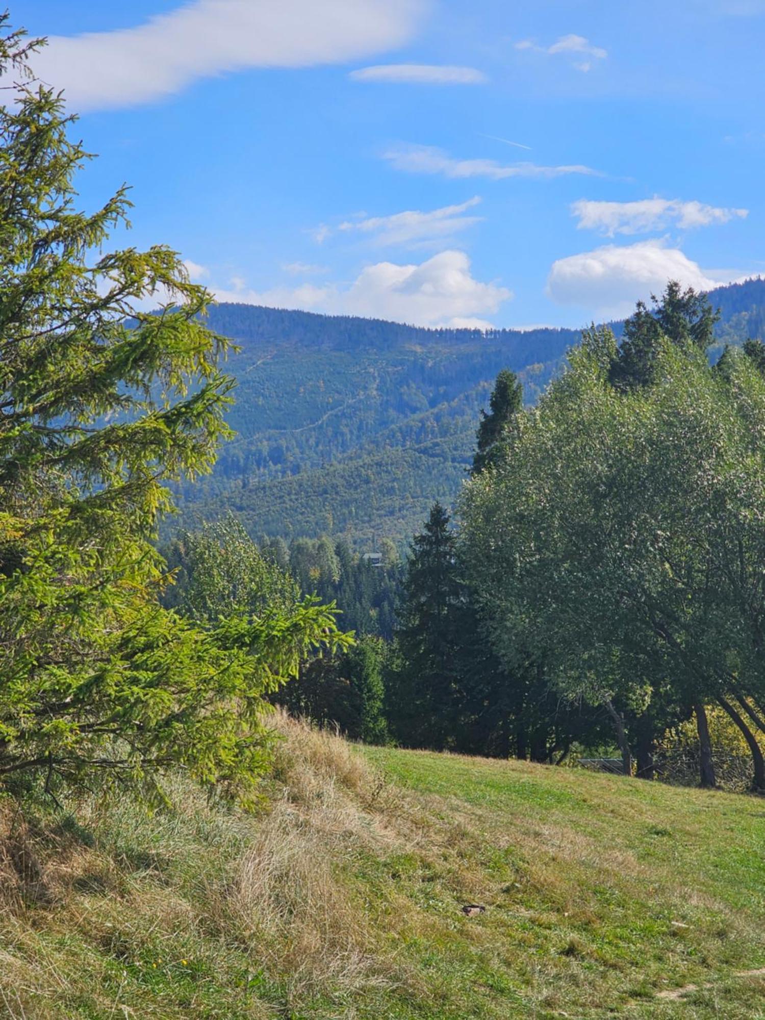 Dom Wypoczynkowy Beskidy Wegierska Gorka Exterior foto
